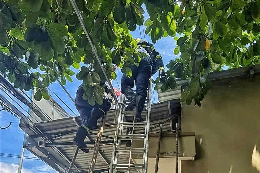 Kịp thời cứu người bị điện giật trên mái nhà ở TPHCM Kịp thời cứu người bị điện giật trên mái nhà ở TPHCM