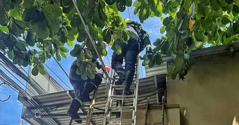 Kịp thời cứu người bị điện giật trên mái nhà ở TPHCM