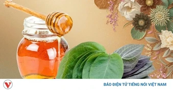 Lá mơ lông và mật ong: Công dụng bất ngờ khi dùng đúng cách