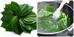 Lá trầu có tác dụng gì?