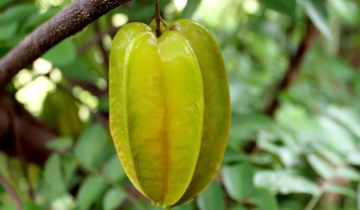 Làm thế nào để bạn tăng lượng chất xơ chống nhiều bệnh mà vẫn khỏe đường tiêu hóa? Làm thế nào để bạn tăng lượng chất xơ chống nhiều bệnh mà vẫn khỏe đường tiêu hóa?