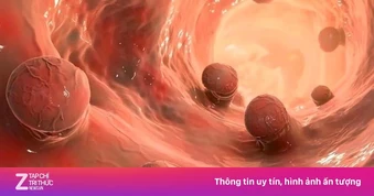 Làm thế nào để chúng ta biết mình bị ung thư?