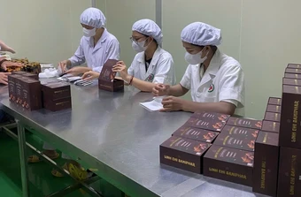 Linh Chi Bamiphar - Khi tinh hoa nấm dược liệu được ứng dụng trong chăm sóc sức khỏe chủ động
