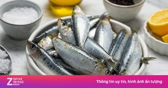 Loại cá biển nhỏ bé nhưng lại là 'kho báu' dinh dưỡng