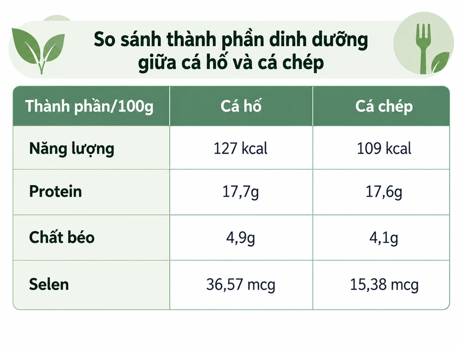 Loại cá ít xương, được đánh giá “bổ hơn cá chép”: Tiếc là không phải ai cũng biết để ăn Loại cá ít xương, được đánh giá “bổ hơn cá chép”: Tiếc là không phải ai cũng biết để ăn