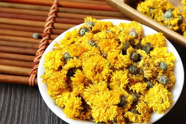 Loài cây tưởng chỉ trưng cho đẹp, ai ngờ còn là thuốc quý được Mỹ đánh giá cao: Người Việt dùng nhiều mà ít biết Loài cây tưởng chỉ trưng cho đẹp, ai ngờ còn là thuốc quý được Mỹ đánh giá cao: Người Việt dùng nhiều mà ít biết