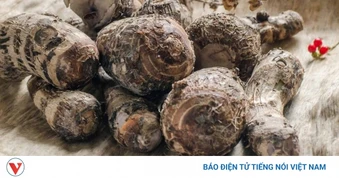 Loại củ bùi béo bán đầy chợ, là vị thuốc giúp bổ tim, sáng mắt, đánh bay mỡ thừa