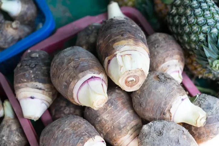 Loại củ giàu chất xơ, kali chợ Việt bán quanh năm: 4 nhóm người cần thận trọng khi ăn Loại củ giàu chất xơ, kali chợ Việt bán quanh năm: 4 nhóm người cần thận trọng khi ăn
