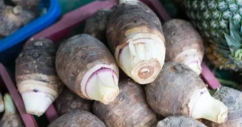 Loại củ người Việt hay nấu canh được người Nhật ví như "món trường thọ"