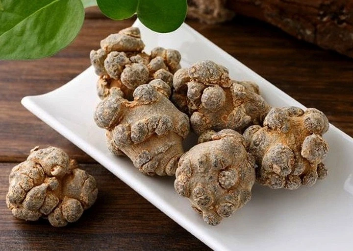 Loại củ "bảo bối" giúp dưỡng sinh và tăng cường tuổi thọ Loại củ "bảo bối" giúp dưỡng sinh và tăng cường tuổi thọ