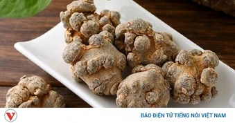 Loại củ "bảo bối" giúp dưỡng sinh và tăng cường tuổi thọ