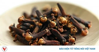 Loại gia vị thơm lừng, ăn vào dưỡng gan bổ xương, sẵn ở Việt Nam ít người biết