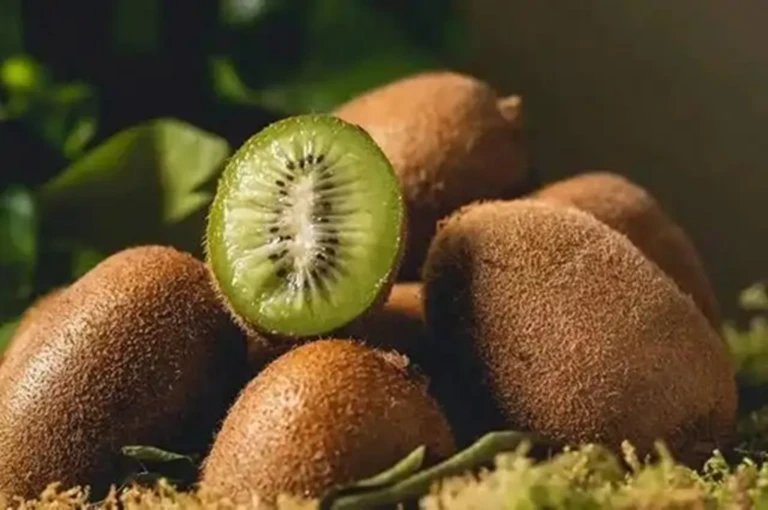 Loại quả được gọi là "trái cây ngủ", ăn một vài miếng mỗi ngày có thể giúp bạn ngủ ngon giấc đến tận sáng, chợ Việt bán rất nhiều Loại quả được gọi là "trái cây ngủ", ăn một vài miếng mỗi ngày có thể giúp bạn ngủ ngon giấc đến tận sáng, chợ Việt bán rất nhiều