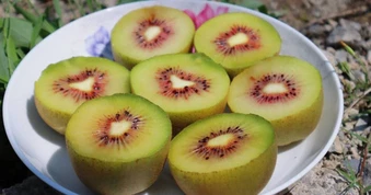 Loại quả được gọi là "trái cây ngủ", ăn một vài miếng mỗi ngày có thể giúp bạn ngủ ngon giấc đến tận sáng, chợ Việt bán rất nhiều