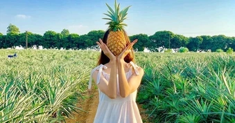 Loại quả giá 10.000 đồng ở chợ: Giàu vitamin C, tốt cho tim mạch, tiêu hóa