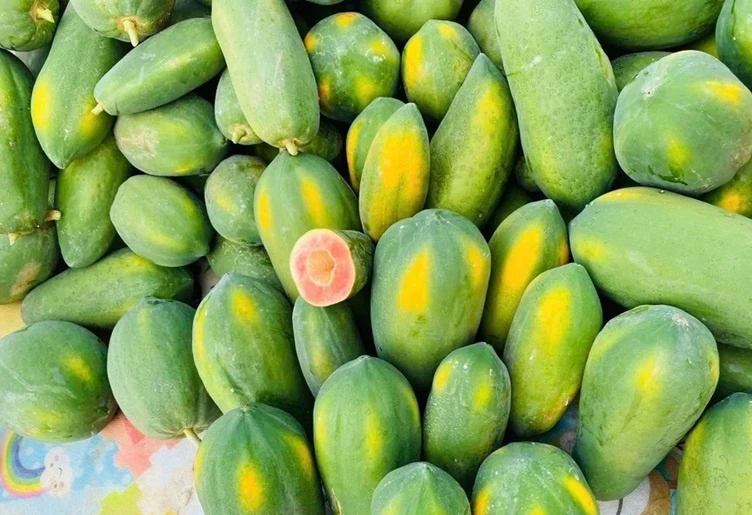 Loại quả giá rẻ được ví như 'nhà máy dinh dưỡng' của cơ thể Loại quả giá rẻ được ví như 'nhà máy dinh dưỡng' của cơ thể