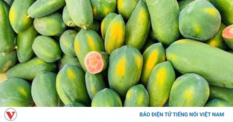 Loại quả giá rẻ là “nhà máy dinh dưỡng”, ăn đều đặn cơ thể ngày càng khoẻ đẹp