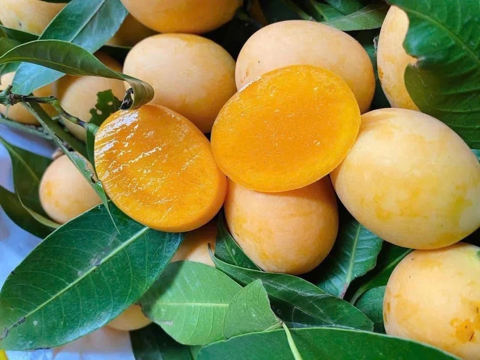 Loại quả giải nhiệt bán đầy chợ nhưng người đau dạ dày không nên ăn Loại quả giải nhiệt bán đầy chợ nhưng người đau dạ dày không nên ăn