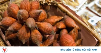 Loại quả rừng có vẻ ngoài xù xì, khó ăn nhưng càng ăn càng mê, lại rất bổ dưỡng