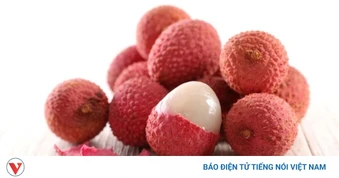 Loại quả Việt bên ngoài xù xì bên trong mọng nước, bổ chẳng kém nhân sâm tổ yến