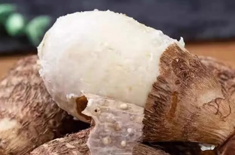 Loại "nhân sâm ngầm" này đang vào mùa: Đây là 3 cách nấu món ăn vừa ngon miệng và đơn giản nhất Loại "nhân sâm ngầm" này đang vào mùa: Đây là 3 cách nấu món ăn vừa ngon miệng và đơn giản nhất