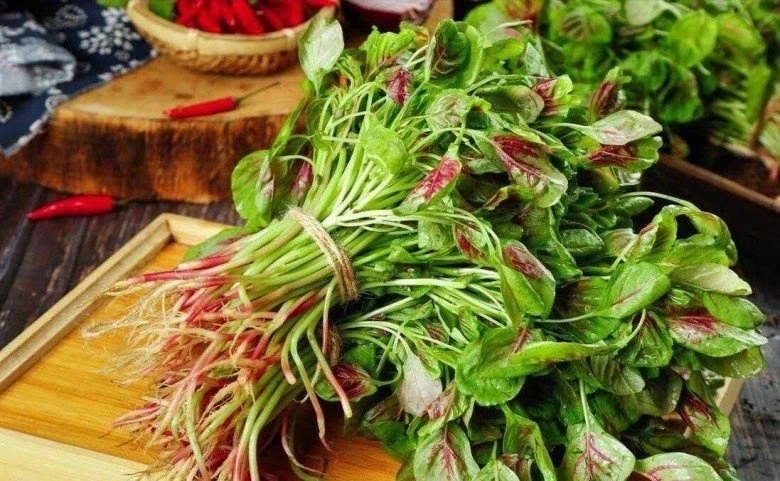 Loại rau bình dân được ví như "thuốc bổ tự nhiên", ăn vào ngày càng trẻ khỏe Loại rau bình dân được ví như "thuốc bổ tự nhiên", ăn vào ngày càng trẻ khỏe
