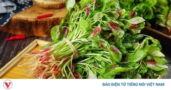 Loại rau bình dân được ví như "thuốc bổ tự nhiên", ăn vào ngày càng trẻ khỏe