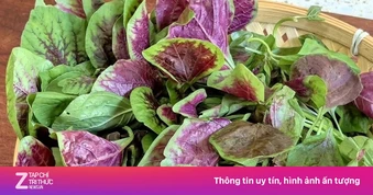 Loại rau được ví như 'thuốc bổ tự nhiên'