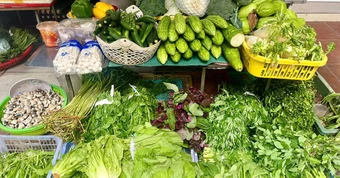 Loại rau giàu canxi hơn cả sữa, sắt không thua thịt bò: Cực dễ trồng, chợ Việt bán quanh năm