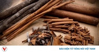 Loại vỏ cây thơm lừng, phơi khô thành "thuốc quý" chợ Việt lại có cực nhiều