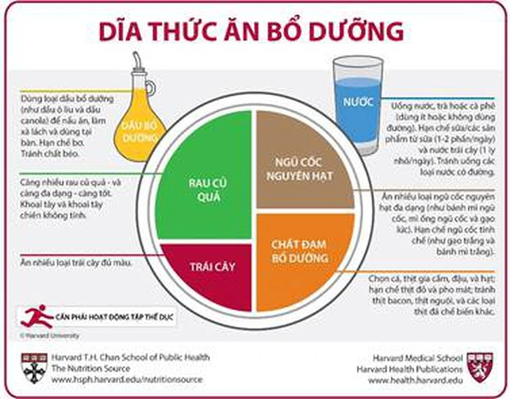 Lợi ích bất ngờ từ phương pháp ‘Đĩa ăn lành mạnh’ Lợi ích bất ngờ từ phương pháp ‘Đĩa ăn lành mạnh’