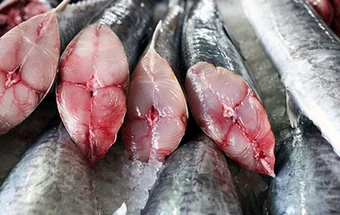 Lời khuyên cho những gia đình muốn tránh ăn cá "ngậm" nhiều thủy ngân