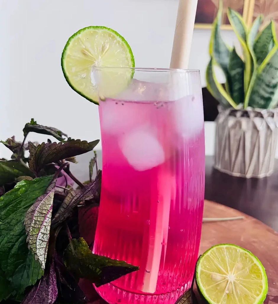 Lời khuyên cho những người hay uống nước lá tía tô vắt chanh Lời khuyên cho những người hay uống nước lá tía tô vắt chanh