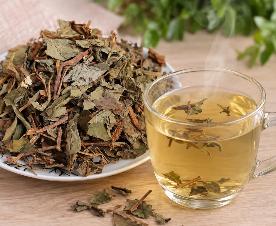Lời khuyên cho tất cả những người hay uống nước rau diếp cá Lời khuyên cho tất cả những người hay uống nước rau diếp cá