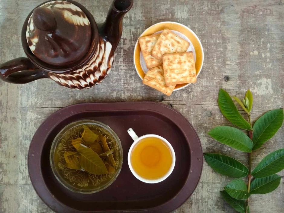 Lời khuyên dành cho tất cả những người uống nước lá ổi Lời khuyên dành cho tất cả những người uống nước lá ổi