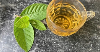 Lời khuyên dành cho tất cả những người uống nước lá ổi