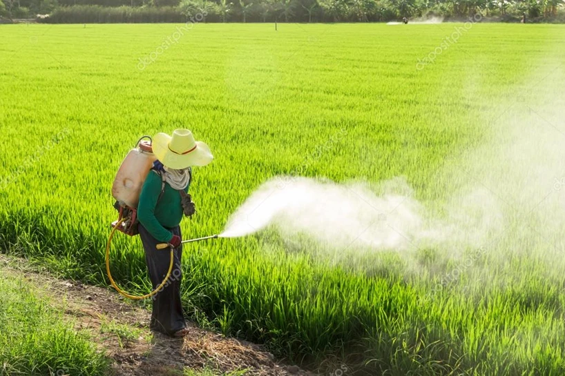 Mỹ công bố top 12 loại rau quả "ngậm" nhiều thuốc trừ sâu nhất 2026, bất ngờ với thứ ở vị trí đầu tiên Mỹ công bố top 12 loại rau quả "ngậm" nhiều thuốc trừ sâu nhất 2026, bất ngờ với thứ ở vị trí đầu tiên