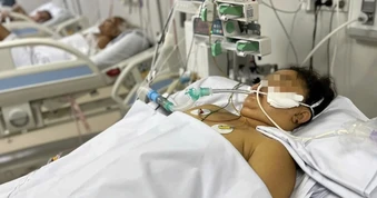 Miền Nam đã có 23 ca bệnh dại và 10 ca sốt xuất huyết tử vong trong năm