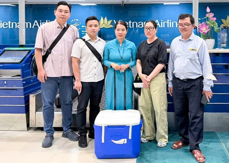 'Món quà sự sống' chàng trai 19 tuổi chết não tặng bé trai ở TP HCM 'Món quà sự sống' chàng trai 19 tuổi chết não tặng bé trai ở TP HCM