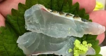 Một loại cá rẻ bèo bán đầy chợ Việt Nam, dinh dưỡng vượt cá hồi, được người Nhật tăng mua để làm sashimi