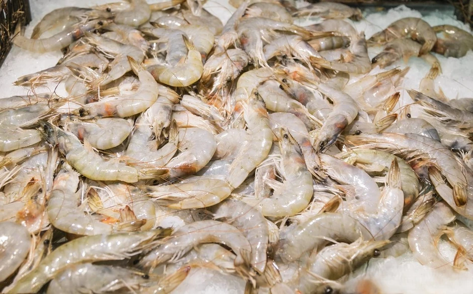 Một ngư dân già chia sẻ mẹo mua tôm: "Tôi không bao giờ cho người thân ăn 5 loại tôm này!" Một ngư dân già chia sẻ mẹo mua tôm: "Tôi không bao giờ cho người thân ăn 5 loại tôm này!"