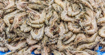 Một ngư dân già chia sẻ mẹo mua tôm: "Tôi không bao giờ cho người thân ăn 5 loại tôm này!"