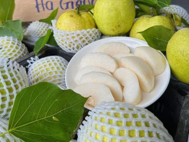 Mùa khô hanh nên ăn gì? 3 loại trái cây quen thuộc: Vừa ngon vừa giàu dưỡng chất Mùa khô hanh nên ăn gì? 3 loại trái cây quen thuộc: Vừa ngon vừa giàu dưỡng chất