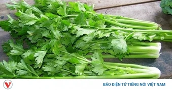 Muốn giải nhiệt, hỗ trợ gan khỏe mạnh, nên bổ sung ngay 4 loại rau này