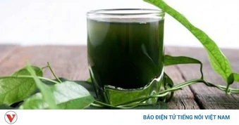 Muốn khỏe và ít mệt mỏi, đừng bỏ qua 8 thức uống này mỗi ngày