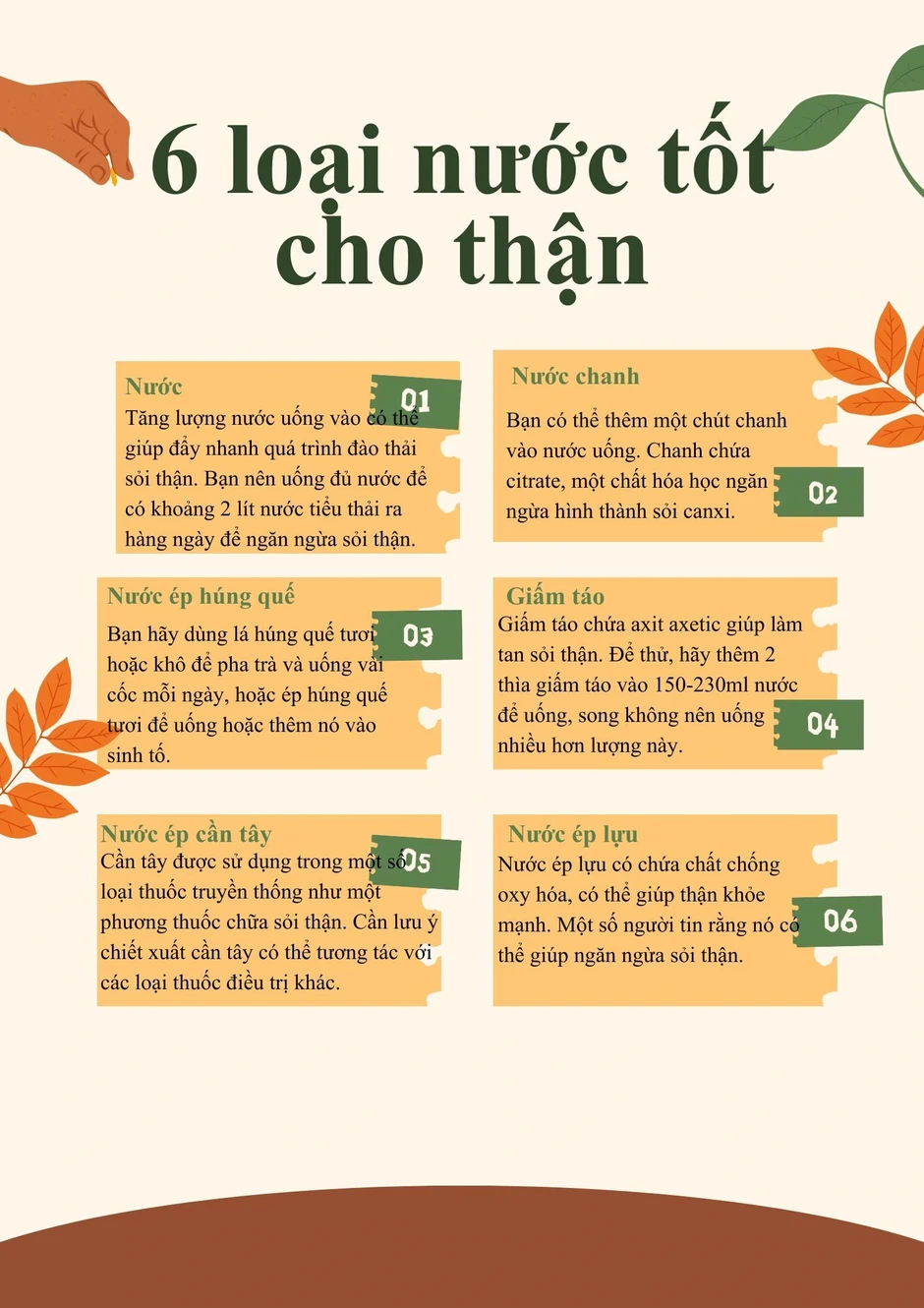 Muốn tránh sỏi thận, đừng bỏ qua 4 nguyên tắc ăn uống này
