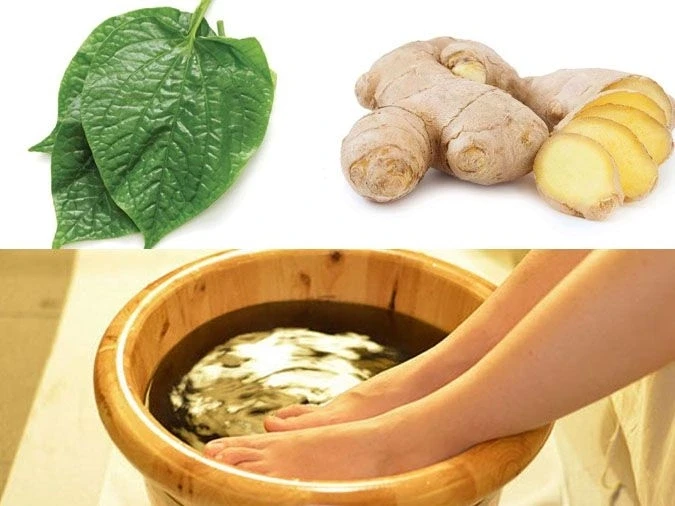 Ngâm chân lá lốt gừng muối: Bài thuốc dân gian đơn giản nhưng cần dùng đúng cách Ngâm chân lá lốt gừng muối: Bài thuốc dân gian đơn giản nhưng cần dùng đúng cách