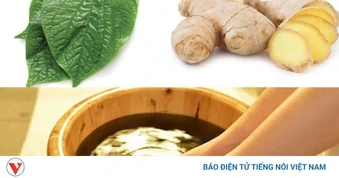 Ngâm chân lá lốt gừng muối: Bài thuốc dân gian đơn giản nhưng cần dùng đúng cách