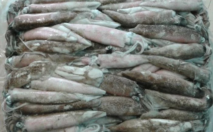 Ngày càng nhiều người mắc ung thư đại trực tràng, bác sĩ thở dài: "Đừng ăn 5 món để lâu trong tủ lạnh" Ngày càng nhiều người mắc ung thư đại trực tràng, bác sĩ thở dài: "Đừng ăn 5 món để lâu trong tủ lạnh"