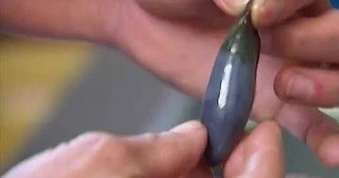 Người đàn ông cấp cứu sau khi uống mật cá trắm để “bổ gan”